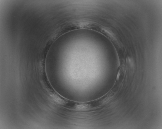 X0000072980461200607211254