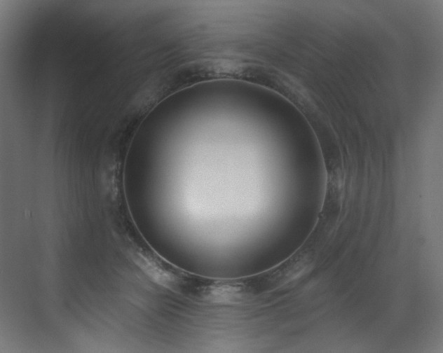X0000072980462200607211254