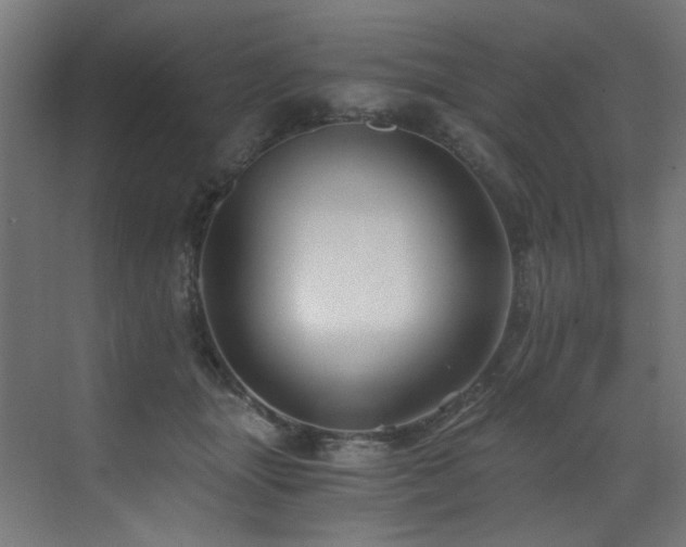 X0000072980463200607211254