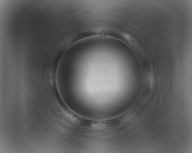 X0000072980470200607211254