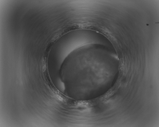 X0000072980471200607211254