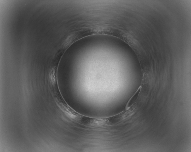 X0000072980479200607211254
