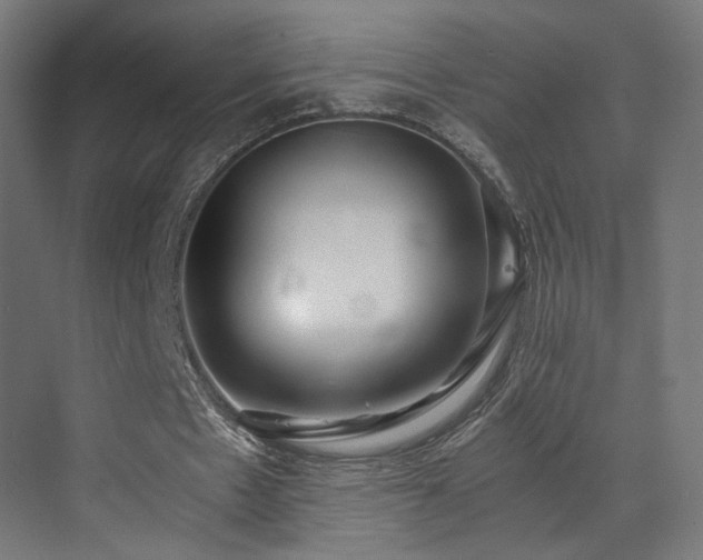 X0000072980481200607211253