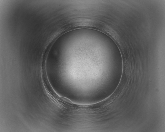 X0000072980482200607211253