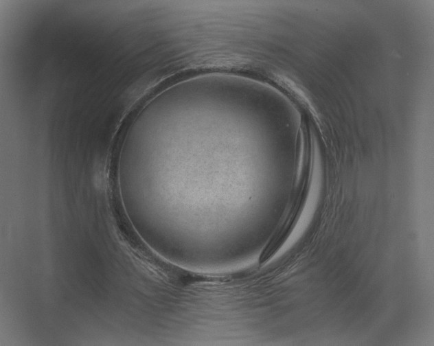 X0000072980483200607211253