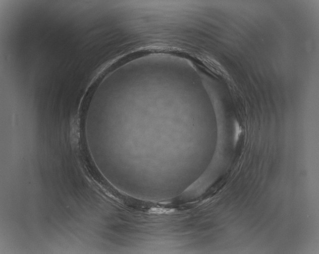 X0000072980484200607211253
