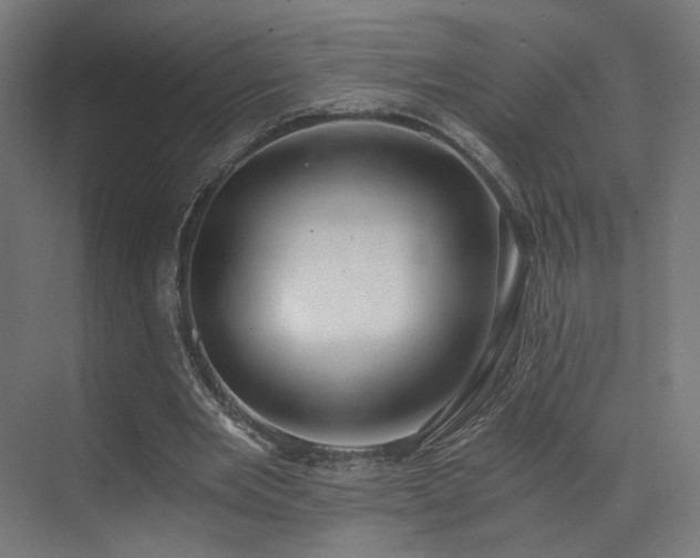 X0000072980485200607211253