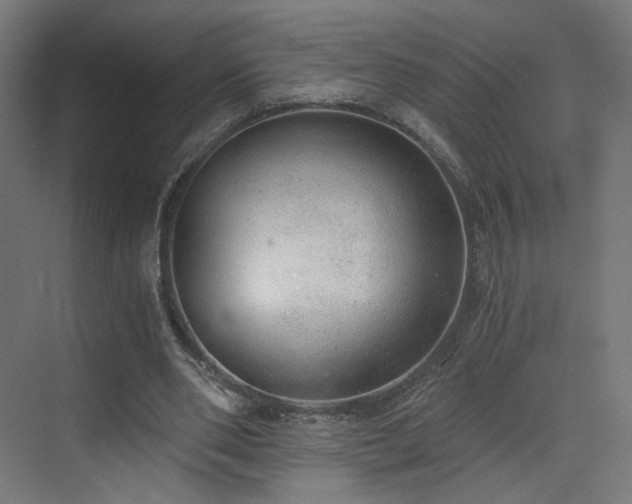 X0000072980486200607211253
