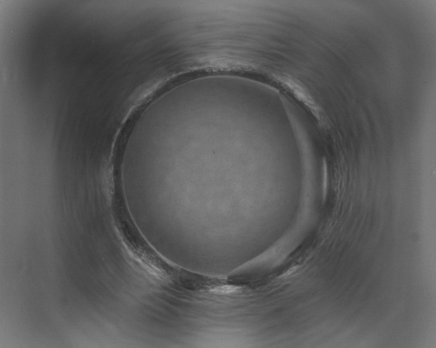 X0000072980488200607211253