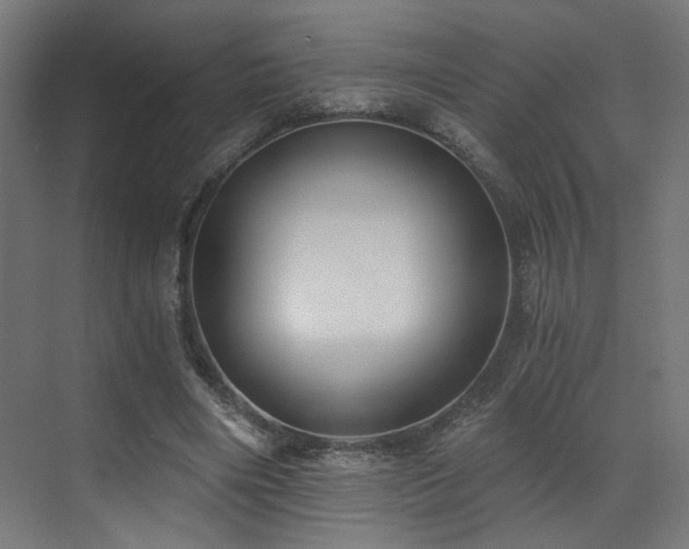X0000072980490200607211253