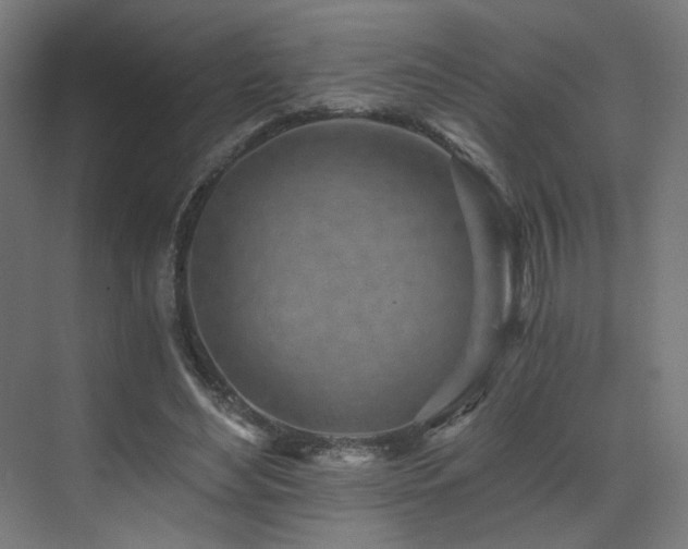 X0000072980492200607211253