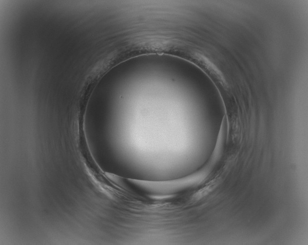 X0000072980493200607211253
