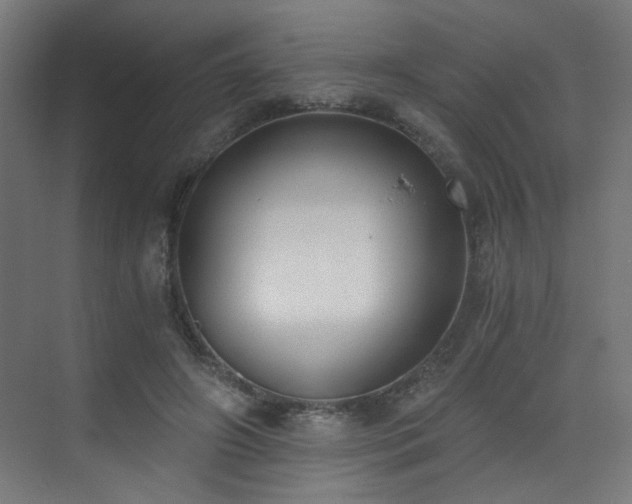 X0000072980498200607211253