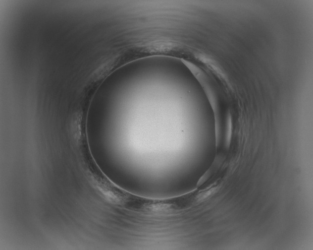 X0000072980501200607211253