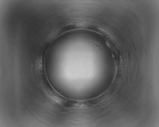 X0000072980502200607211253