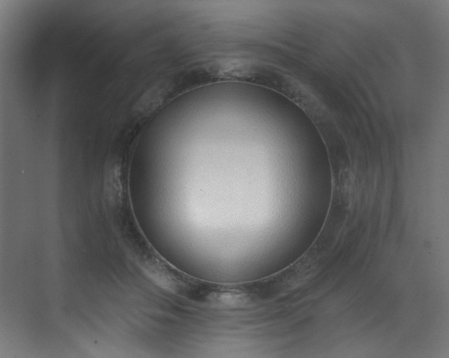 X0000072980506200607211253