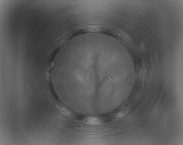 X0000072980507200607211253