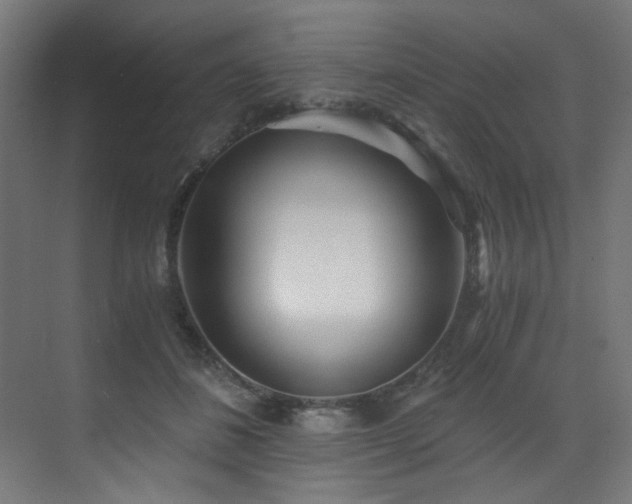X0000072980508200607211253