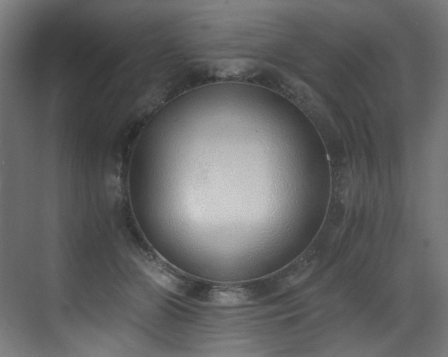 X0000072980510200607211253