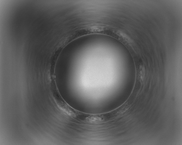 X0000072980512200607211253