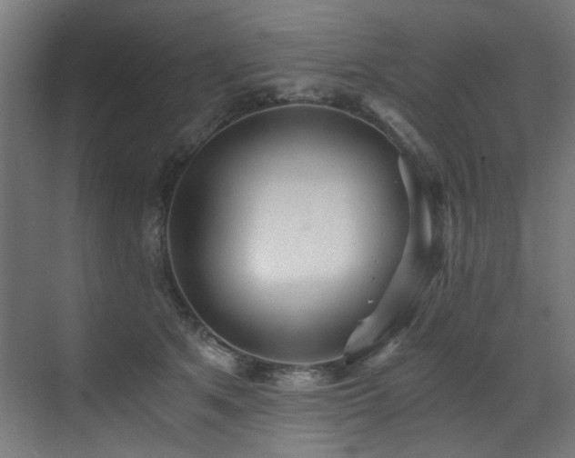X0000072980513200607211253