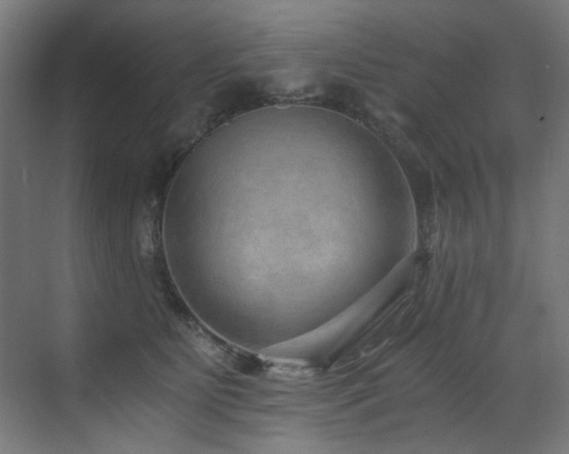 X0000072980515200607211253
