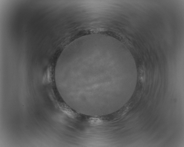 X0000072980519200607211253