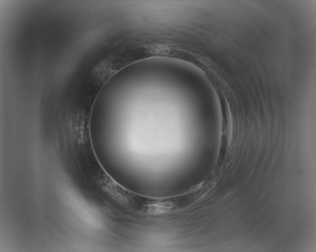 X0000072980525200607211252