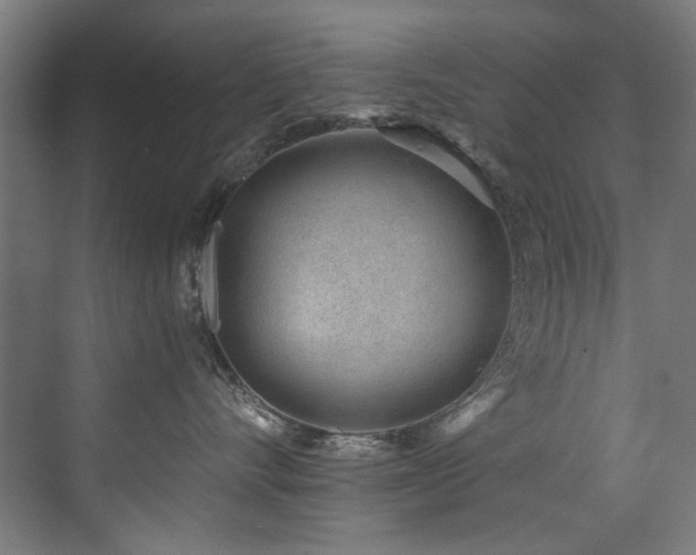 X0000072980528200607211252