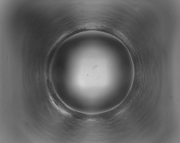 X0000072980530200607211252
