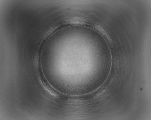 X0000072980533200607211252
