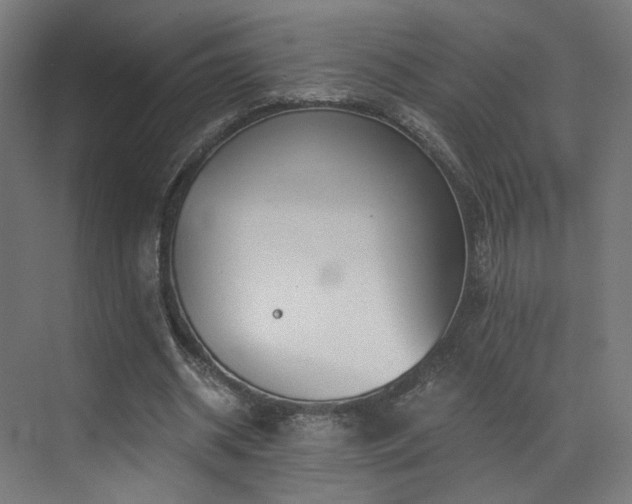 X0000072980534200607211252