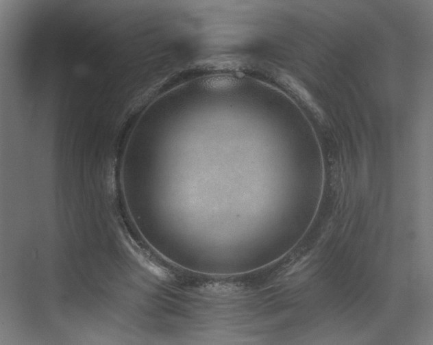 X0000072980537200607211252
