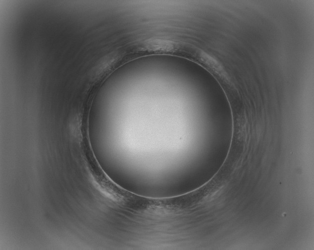 X0000072980538200607211252