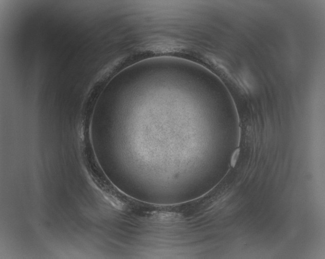 X0000072980539200607211252