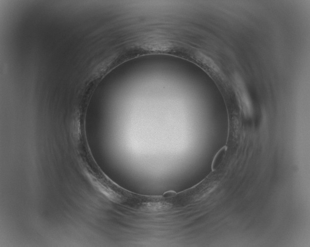 X0000072980541200607211252