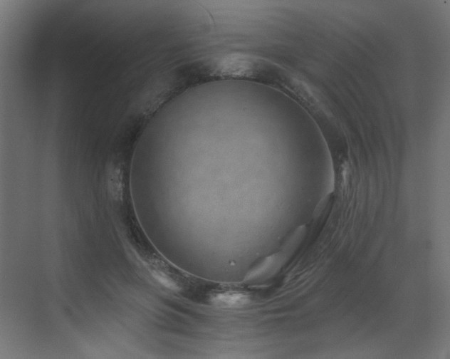 X0000072980551200607211252