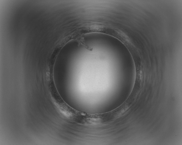 X0000072980552200607211252