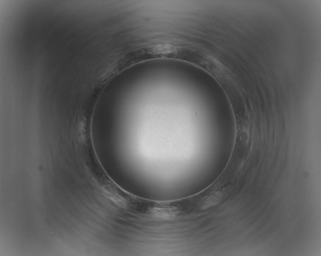 X0000072980556200607211252