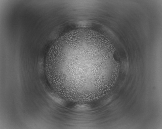 X0000072980557200607211252