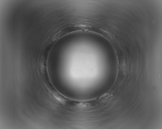 X0000072980566200607211252