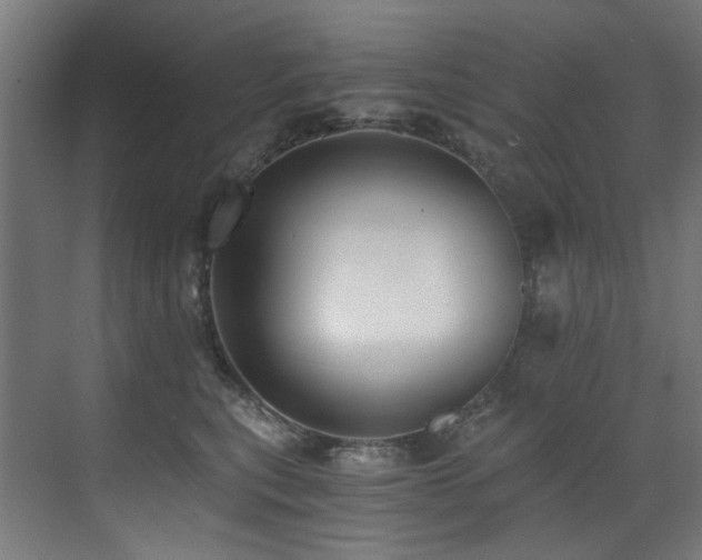 X0000072980567200607211252