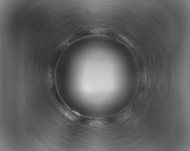 X0000072980572200607211252