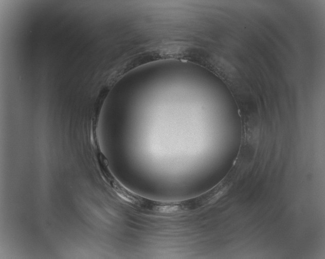 X0000072980575200607211252