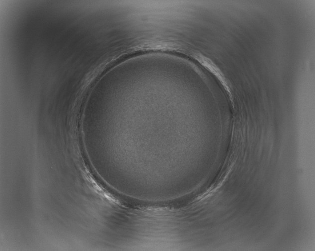 X0000072980577200607211252