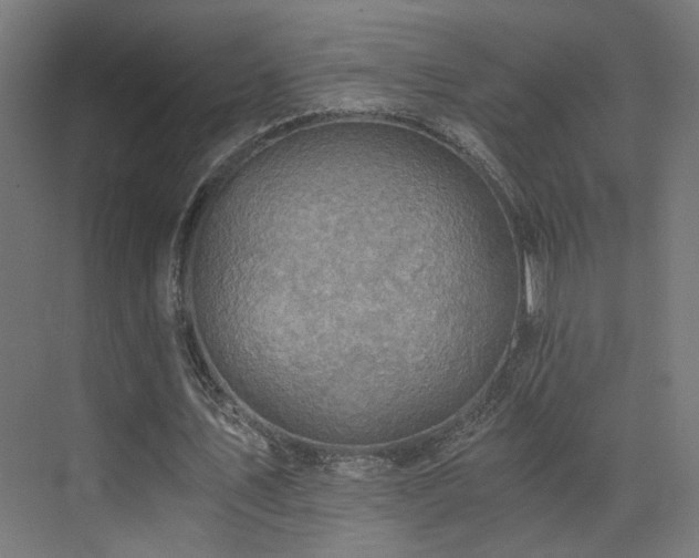 X0000072980579200607211251