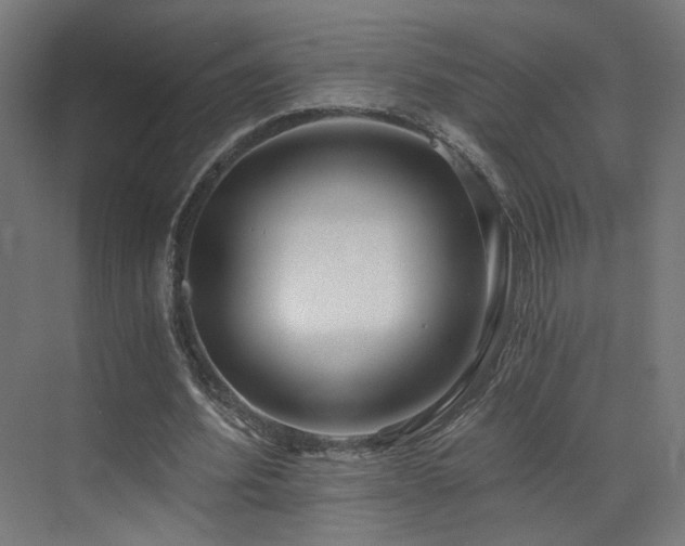 X0000072980580200607211251