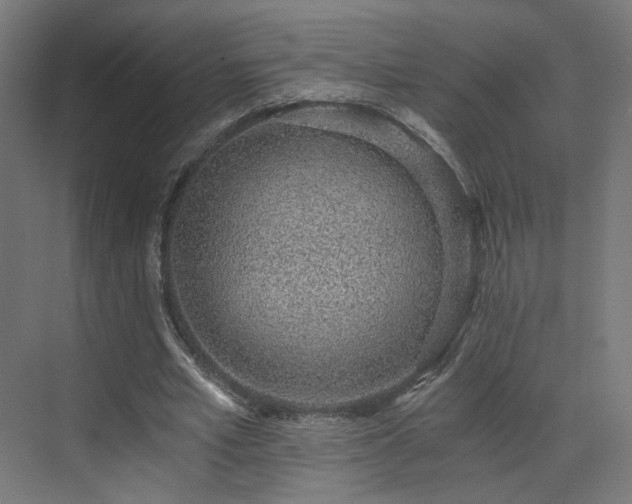 X0000072980581200607211251