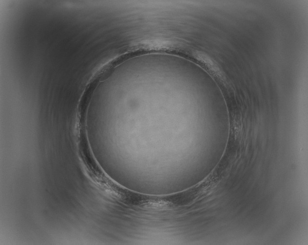 X0000072980583200607211251