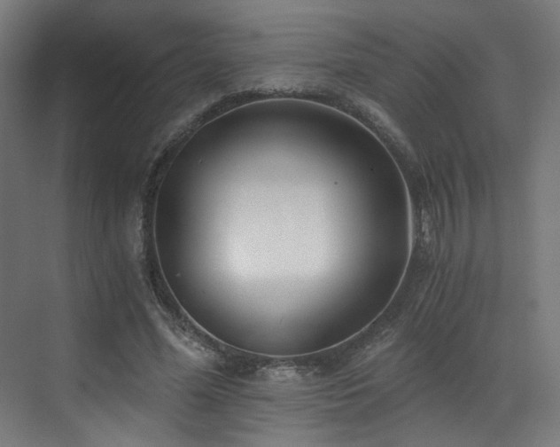 X0000072980588200607211251
